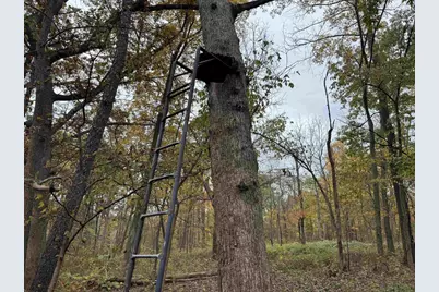 3428 Bluto Boulevard, Mount Horeb, WI 53572 - Photo 74