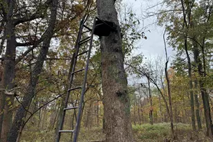 3428 Bluto Blvd, Mount Horeb, WI 53572 - Photo 74