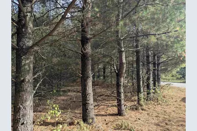 1152 Chicago Lane, Friendship, WI 53934 - Photo 54