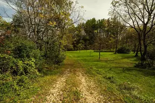 E11695 Chadwick Hollow Rd, Viola, WI 54664 - Photo 58