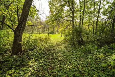E11695 Chadwick Hollow Road, Viola, WI 54664 - Photo 56