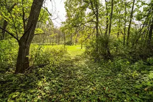 E11695 Chadwick Hollow Rd, Viola, WI 54664 - Photo 56
