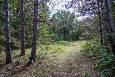 31395 Fresno Avenue, Tomah, WI 54460 - Photo 54