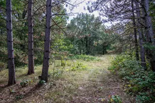 31395 Fresno Ave, Tomah, WI 54460 - Photo 54