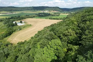 47298 Honey Farm Rd, Gays Mills, WI 54631 - Photo 50