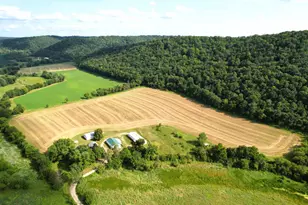 47298 Honey Farm Rd, Gays Mills, WI 54631 - Photo 32