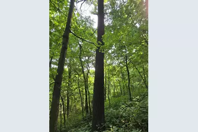 47298 Honey Farm Road, Gays Mills, WI 54631 - Photo 54