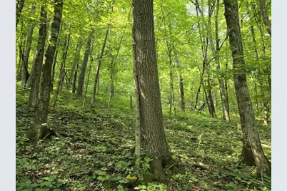 47298 Honey Farm Road, Gays Mills, WI 54631 - Photo 34