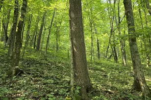 47298 Honey Farm Rd, Gays Mills, WI 54631 - Photo 30