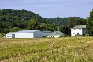 47298 Honey Farm Rd, Gays Mills, WI 54631 - Photo 4