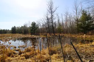 N15945 State Road 80, Necedah, WI 54646 - Photo 36