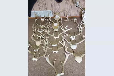 N8720 County Cx Road, Portage, WI 53901 - Photo 38