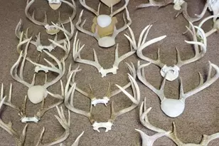 N8720 County Cx Rd, Portage, WI 53901 - Photo 38