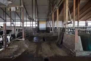 S7450 Morning Crest Dr, Augusta, WI 54722 - Photo 10