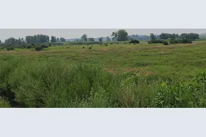 4923 Meek Road, Arlington, WI 53911 - Photo 34