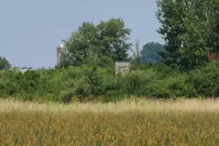 4923 Meek Rd, Arlington, WI 53911 - Photo 28