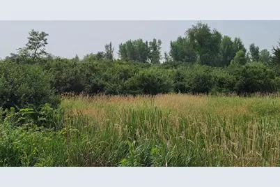 4923 Meek Road, Arlington, WI 53911 - Photo 32