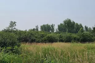 4923 Meek Rd, Arlington, WI 53911 - Photo 32