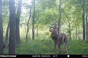 N2644 Co Rd O, Oxford, WI 53952 - Photo 26