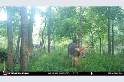 N2644 County Road O, Oxford, WI 53952 - Photo 24