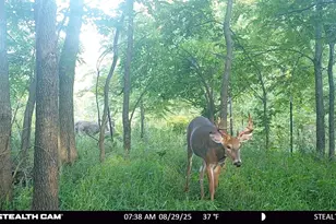 N2644 Co Rd O, Oxford, WI 53952 - Photo 24