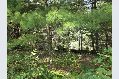 W6256 County Road A, New Lisbon, WI 53950 - Photo 38