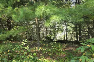 W6256 Co Rd A, New Lisbon, WI 53950 - Photo 38