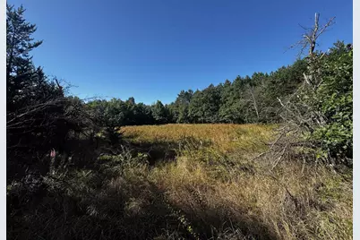 80 Ac 9th Acres, Adams, WI 53910 - Photo 18