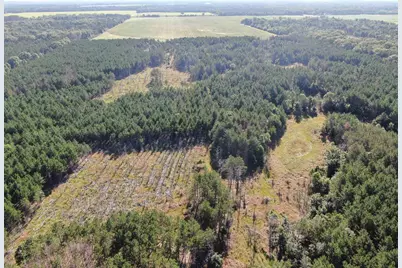80 Ac 9th Acres, Adams, WI 53910 - Photo 6