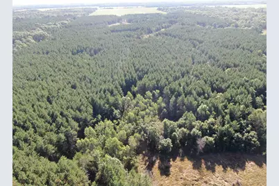 80 Ac 9th Acres, Adams, WI 53910 - Photo 20