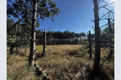 80 Ac 9th Acres, Adams, WI 53910 - Photo 14