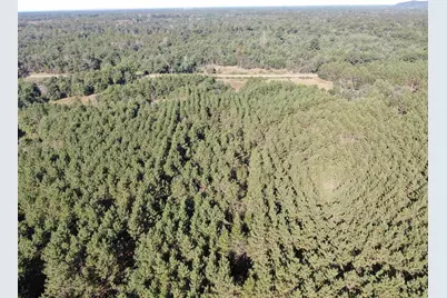80 Ac 9th Acres, Adams, WI 53910 - Photo 34