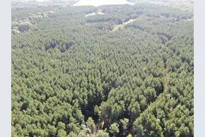80 Ac 9th Acres, Adams, WI 53910 - Photo 24
