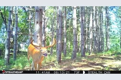 W2069 Elk Court, Montello, WI 53949 - Photo 50