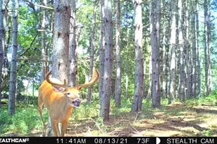 W2069 Elk Ct, Montello, WI 53949 - Photo 50