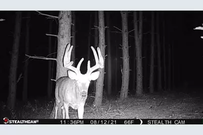 W2069 Elk Court, Montello, WI 53949 - Photo 58