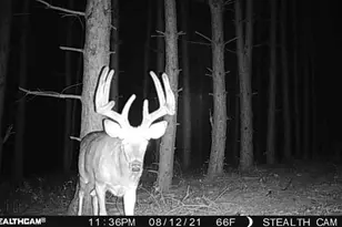 W2069 Elk Ct, Montello, WI 53949 - Photo 58