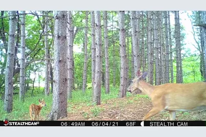 W2069 Elk Court, Montello, WI 53949 - Photo 52