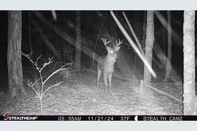 W2069 Elk Court, Montello, WI 53949 - Photo 54