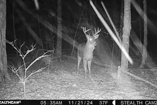 W2069 Elk Ct, Montello, WI 53949 - Photo 54