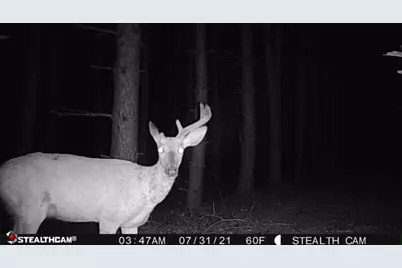 W2069 Elk Court, Montello, WI 53949 - Photo 56