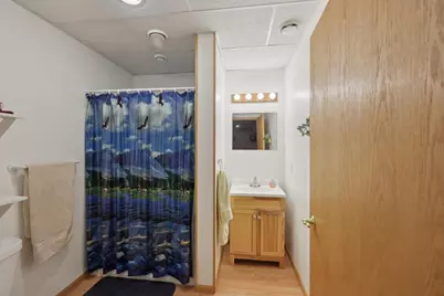 161 E Pine Street, Lake Mills, WI 53551 - Photo 40