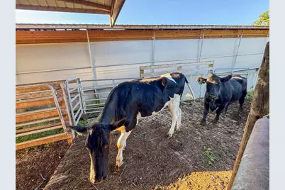 29000 Monarch Ave Avenue, Kendall, WI 54638 - Photo 52