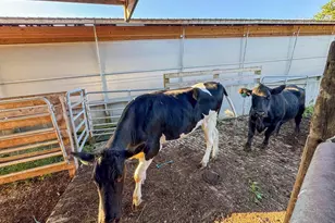 29000 Monarch Ave Ave, Kendall, WI 54638 - Photo 52