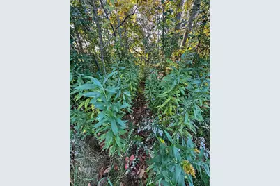 29000 Monarch Ave Avenue, Kendall, WI 54638 - Photo 82