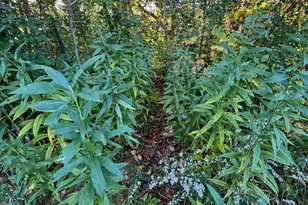 29000 Monarch Ave Ave, Kendall, WI 54638 - Photo 82