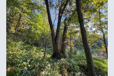 29000 Monarch Ave Avenue, Kendall, WI 54638 - Photo 72