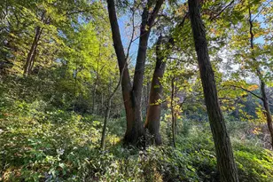 29000 Monarch Ave Ave, Kendall, WI 54638 - Photo 72