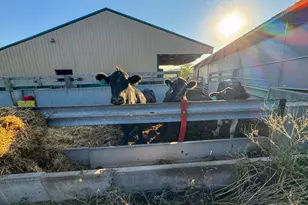 29000 Monarch Ave Ave, Kendall, WI 54638 - Photo 48