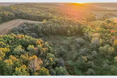 29000 Monarch Ave Avenue, Kendall, WI 54638 - Photo 62